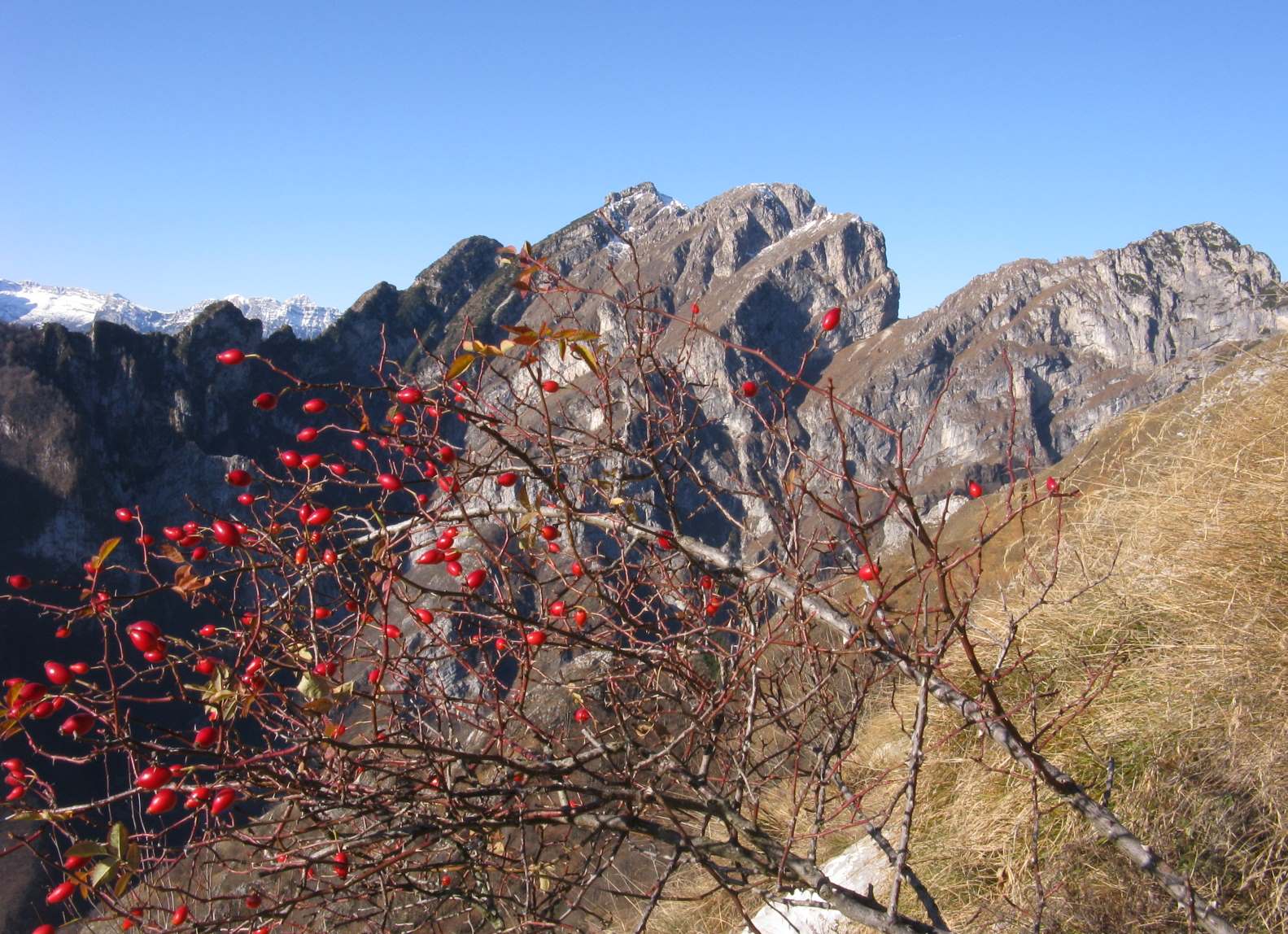 Monte Terne: bel Panorama sul gruppo della Schiara